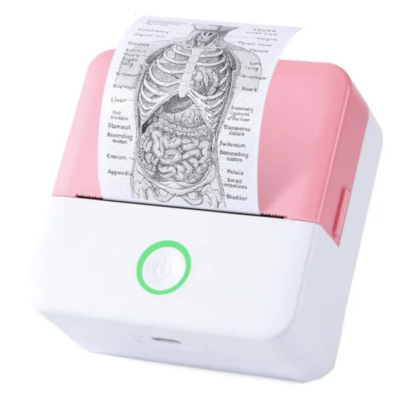 Mini imprimante thermique portable Bluetooth